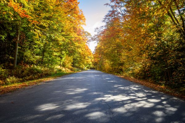 Cost of Blacktop Replacement in Thousand Oaks